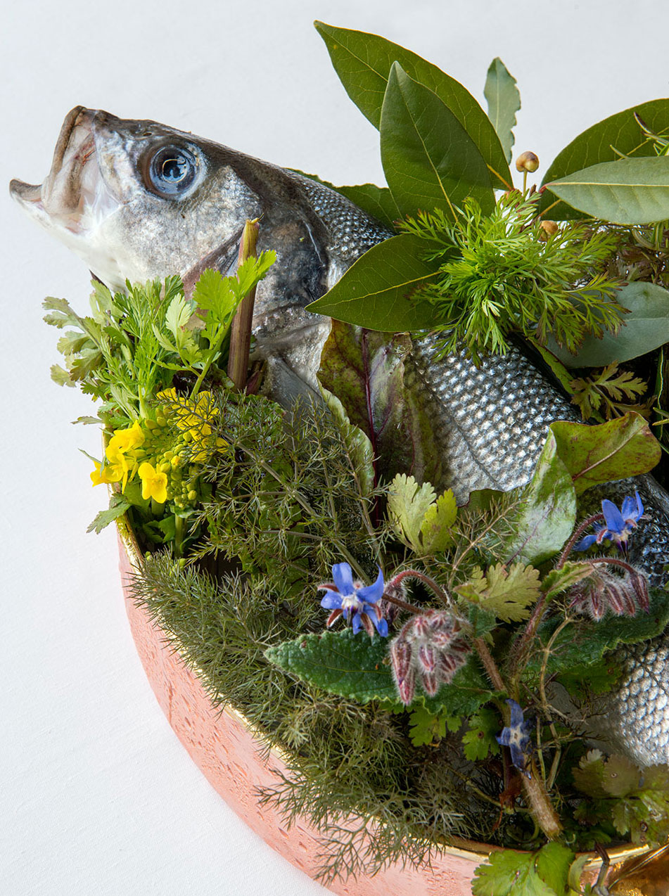 Μια πλάκα του κόλπου μπάσο-συμπεριλαμβανομένων μαϊντανό, φύλλα μάραθου, και φρέσκα φύλλα-παρουσιάζεται πριν από το μαγείρεμα.