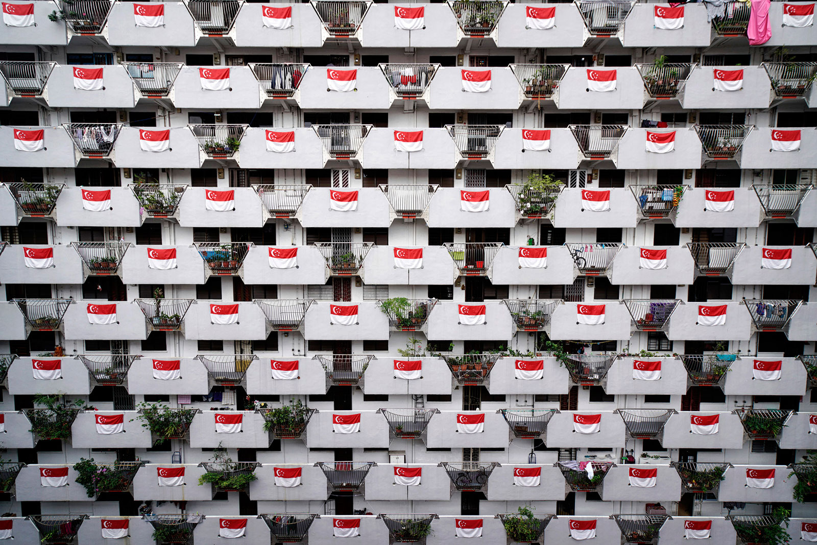 National flags are displayed on a residential apartment block in Singapore