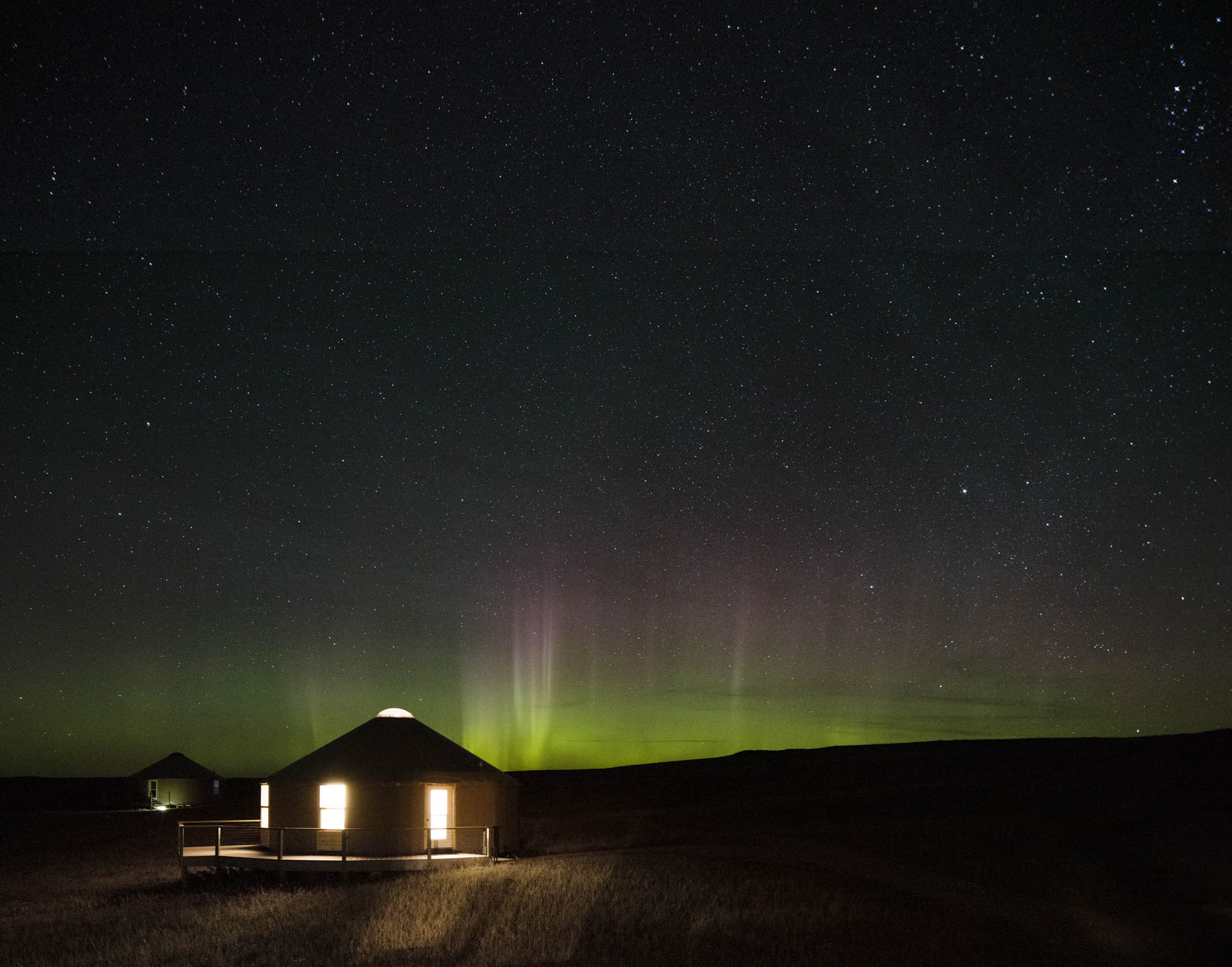 Kestrel Camp yurts
