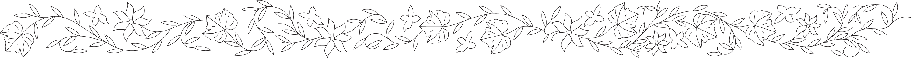 Section Break Illustration of Grape Vine