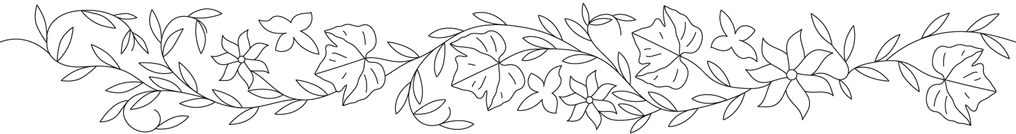 Section Break Illustration of Grape Vine