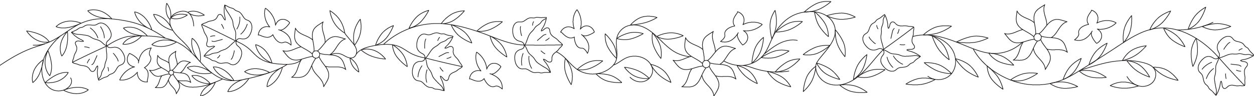 Section Break Illustration of Grape Vine