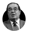Image of Scalia