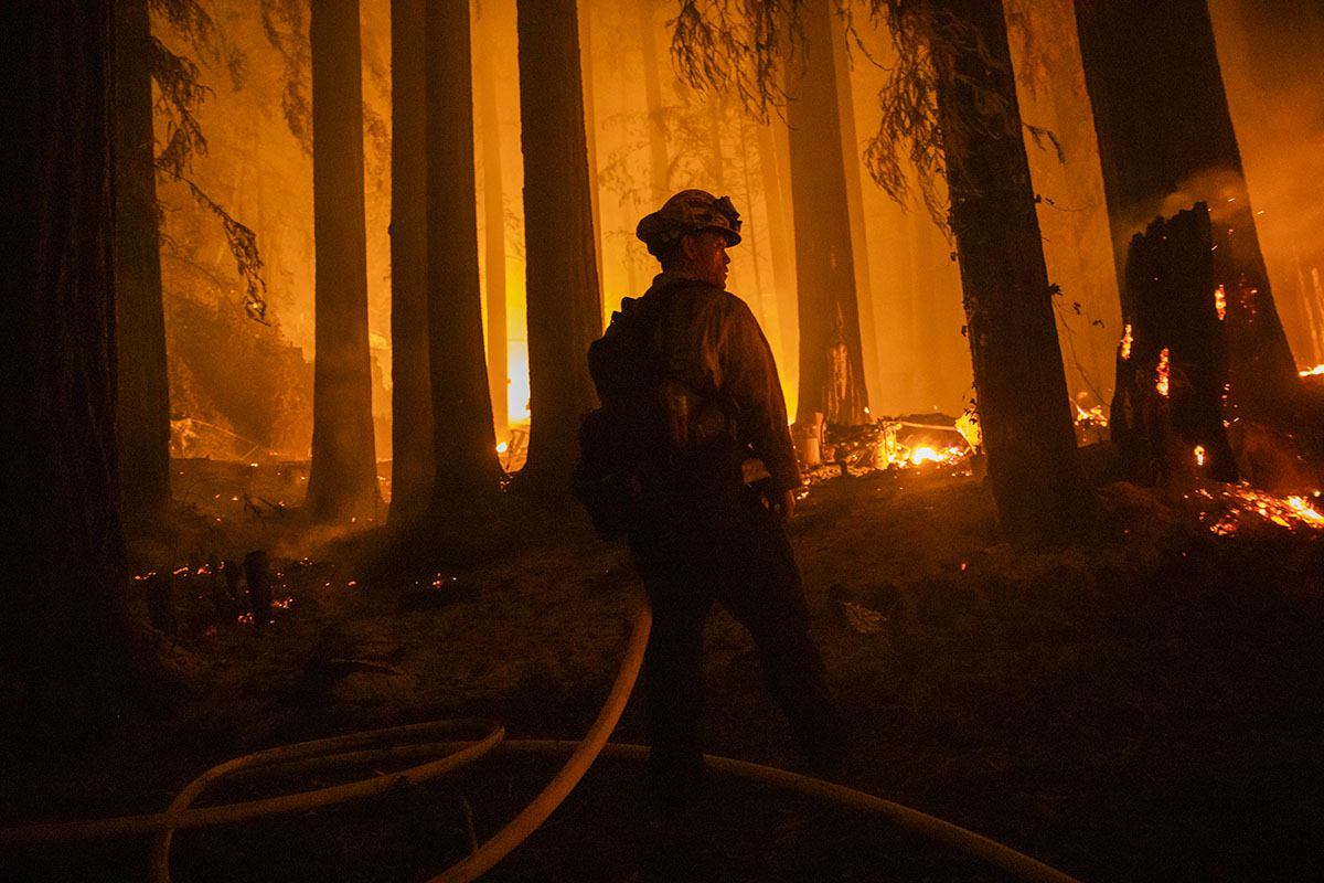 A lone firefighter stands in the darkness among the trees, lit only by the wildfires ahead of him