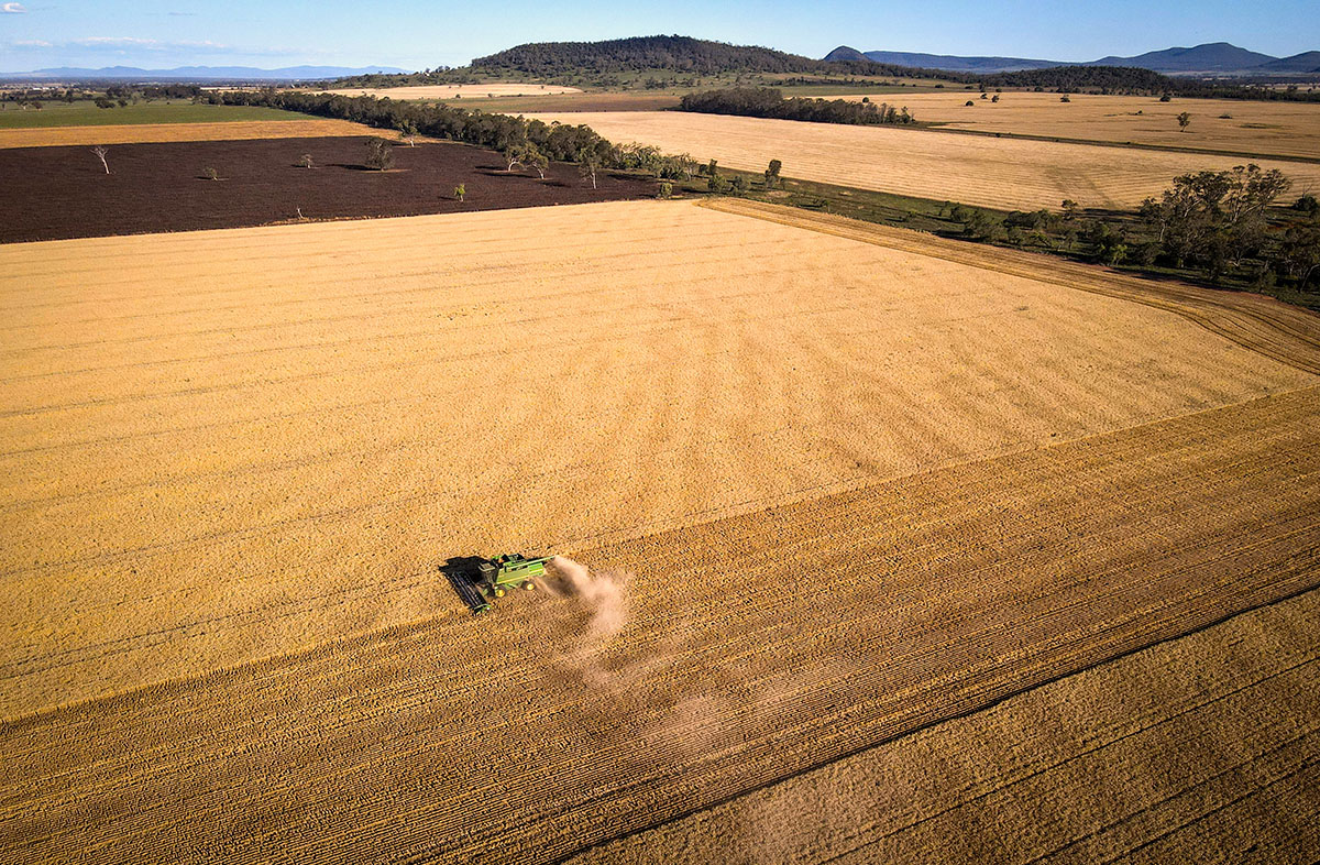 Aerial shot of a golden wheat field being harvested in neat rows by machinery. A ribbon of blue sky and small tree-dotted hills in the distance.