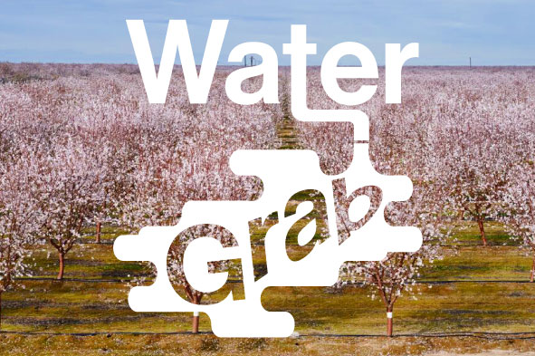 water-series