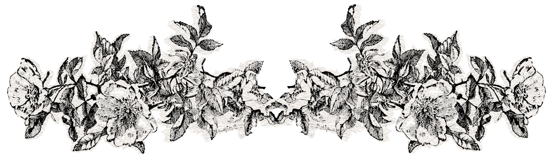 Stylized rose branch chapter hed line break