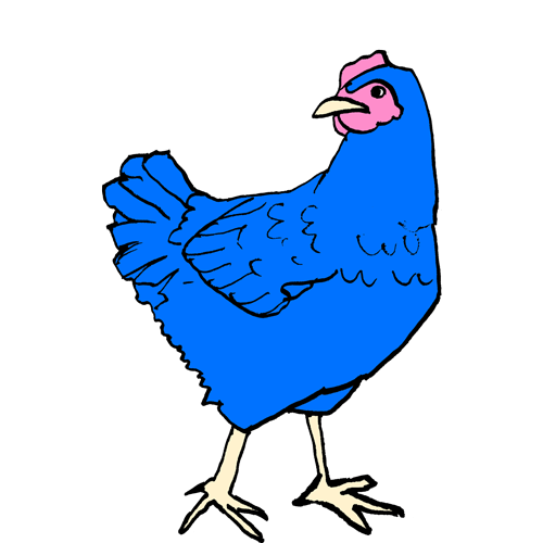 Edited polaroid of chicken
