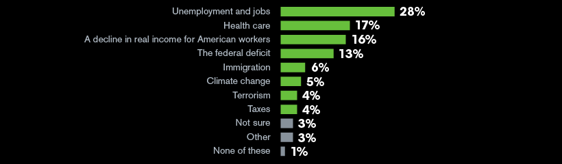 The most important issues facing the United States now: